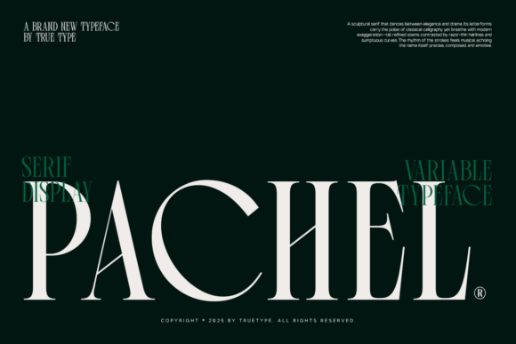 Download Pachel - Premium Bundle